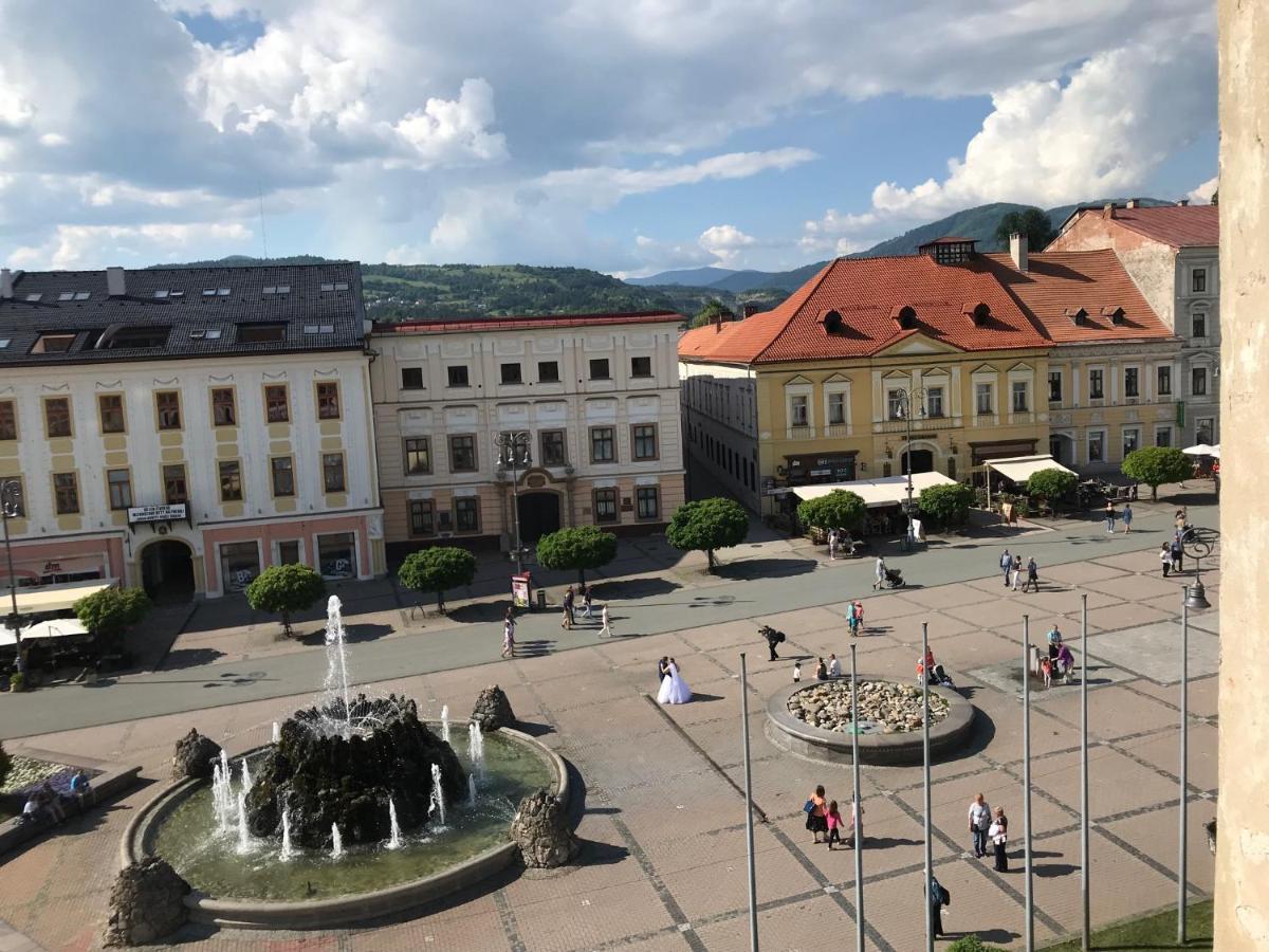 Bl - The Executive Suite, Boru - 24Hr Self Check-In, Free Private Parking, Balcony With Mountain View, 5 Minute Walk To City Center バンスカー・ビストリツァ エクステリア 写真