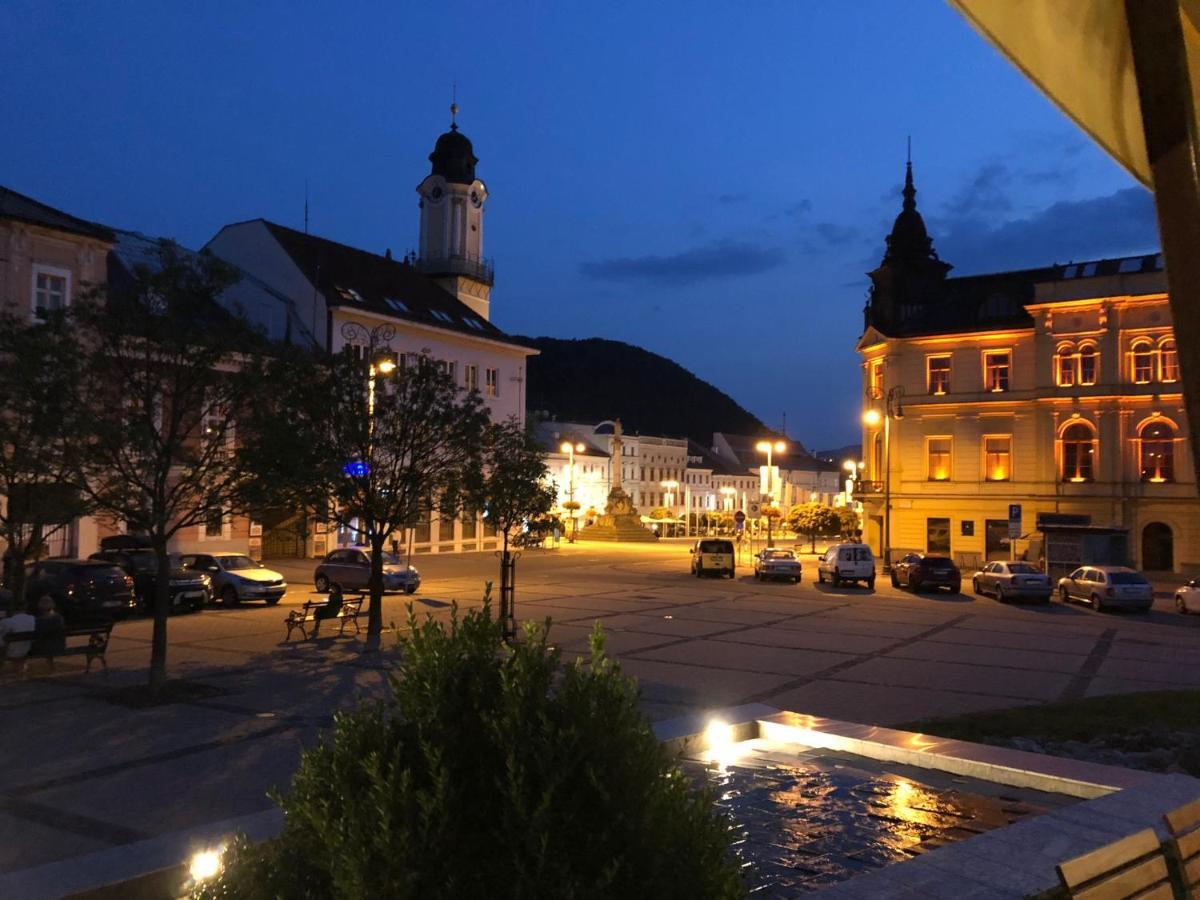 Bl - The Executive Suite, Boru - 24Hr Self Check-In, Free Private Parking, Balcony With Mountain View, 5 Minute Walk To City Center バンスカー・ビストリツァ エクステリア 写真